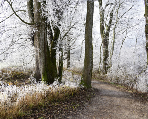 Start van de winter